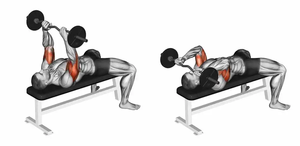 The Best Triceps Exercises and Workouts That Will Give You the Best Muscle Gains! 4 Decrease EZ Bar Extensions