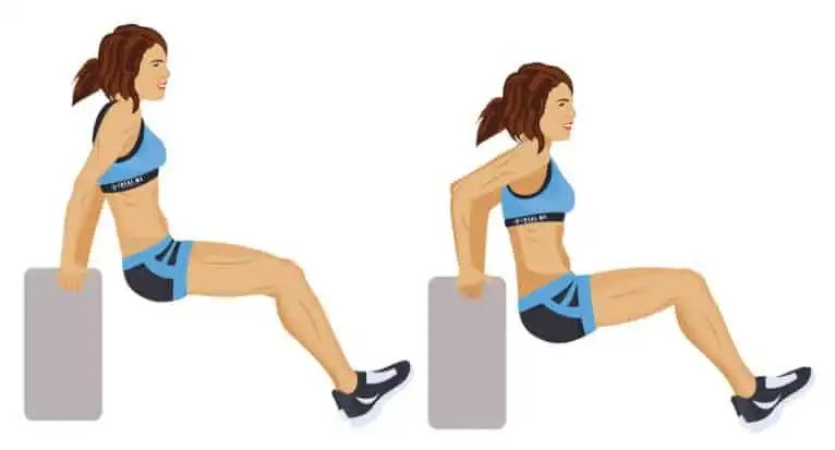 The Best Triceps Exercises and Workouts That Will Give You the Best Muscle Gains! 3 Triceps Dips